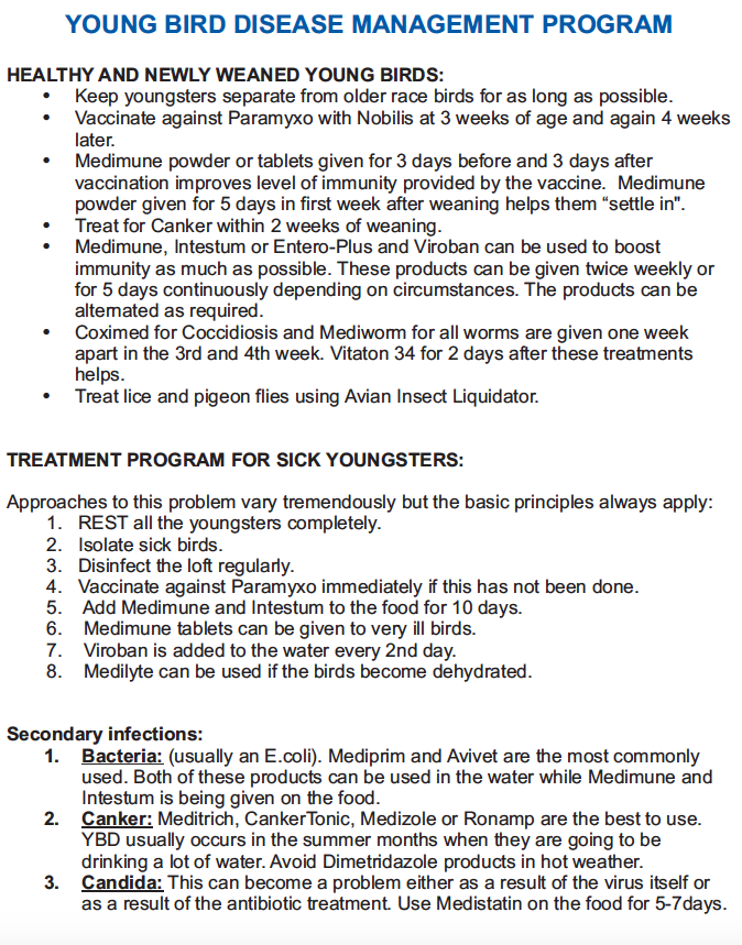 young bird program