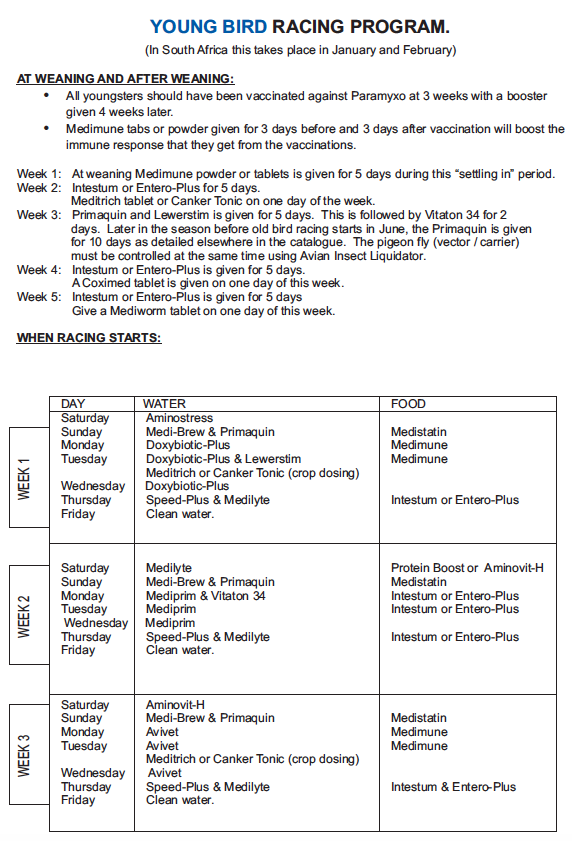 YB racing part 1
